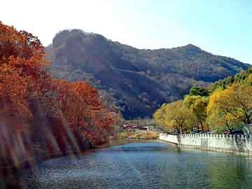 新澳天天开奖资料大全旅游团，光源太阳能